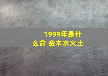 1999年是什么命 金木水火土